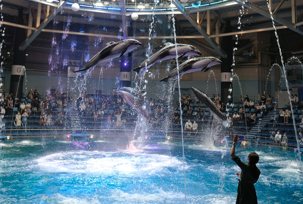 フロンティアキッズ ブログ記事 しながわ水族館遠足につきましてのお知らせのイメージサムネイル画像