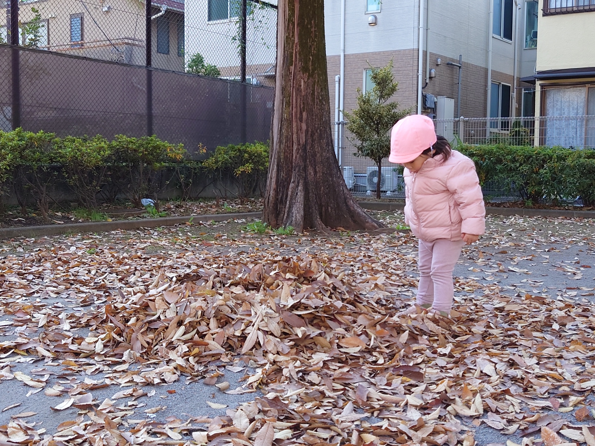 冬の戸外あそび