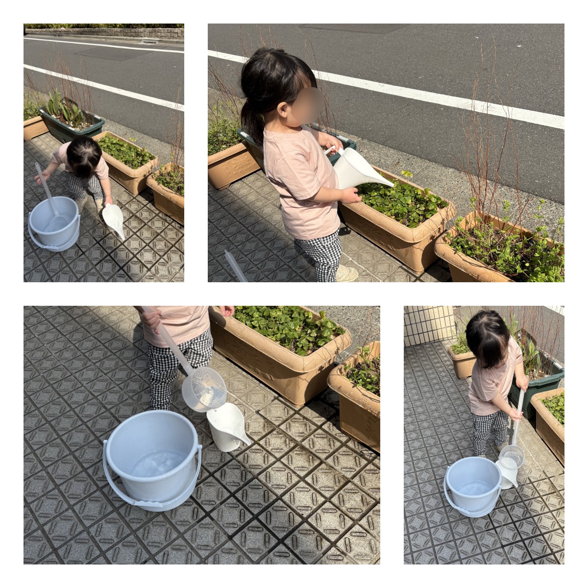 フロンティアキッズ ブログ記事 モンテッソーリ活動「花の水やり」のイメージサムネイル画像